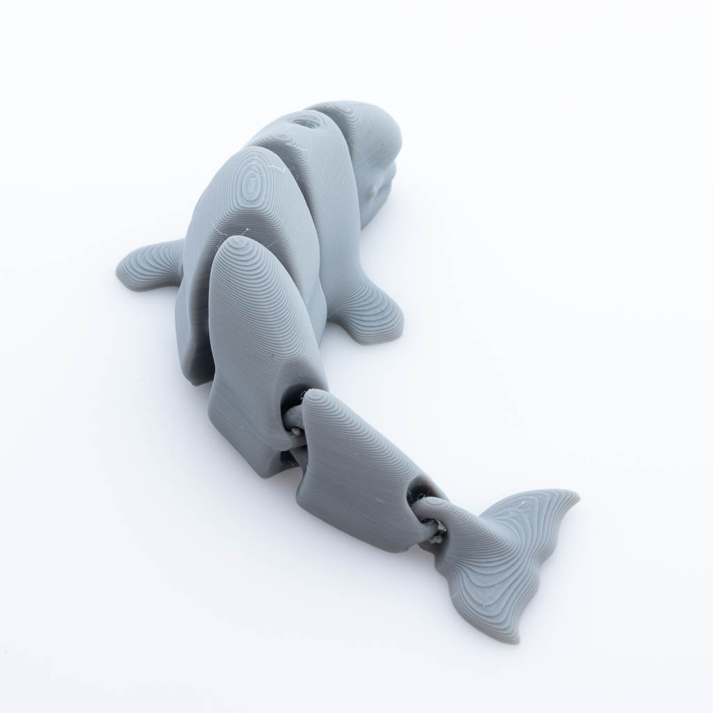 Baleine beluga articulée 3d